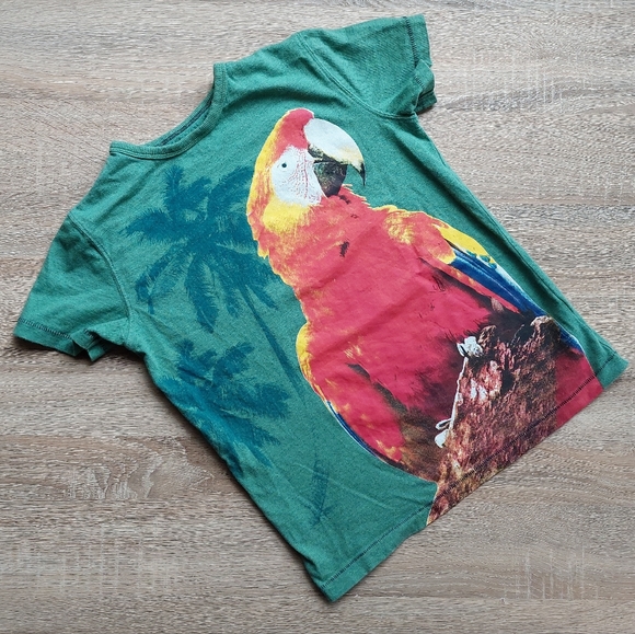 2016 ln / euc Next Direct 5-6 years - Picture 11 of 11